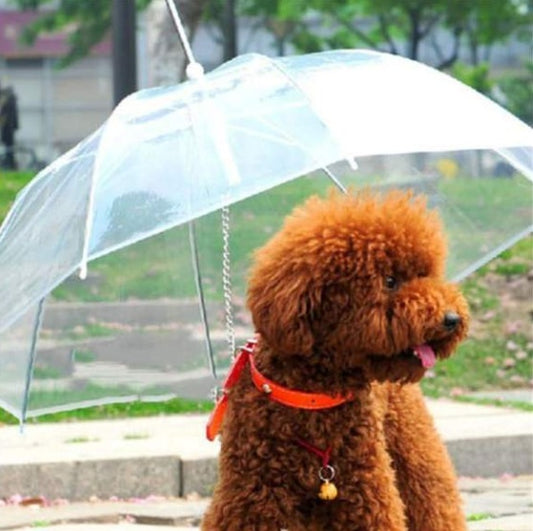 Dog Umbrella Walking Leash