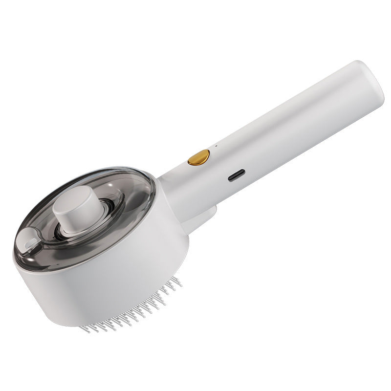 Pet Steam Brush Grooming