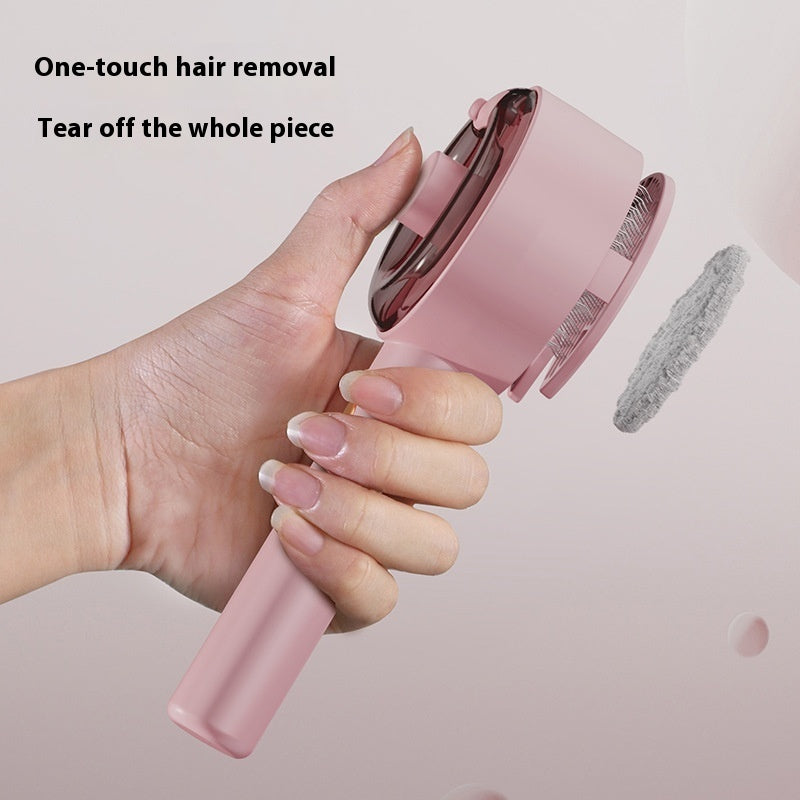 Pet Steam Brush Grooming