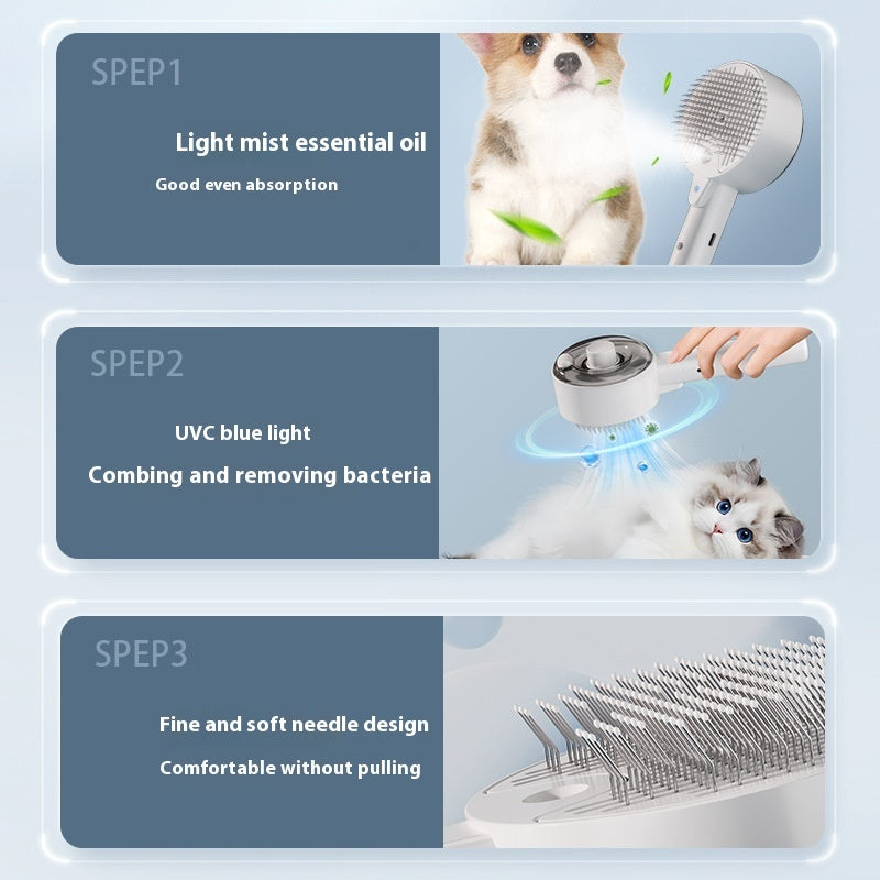 Pet Steam Brush Grooming
